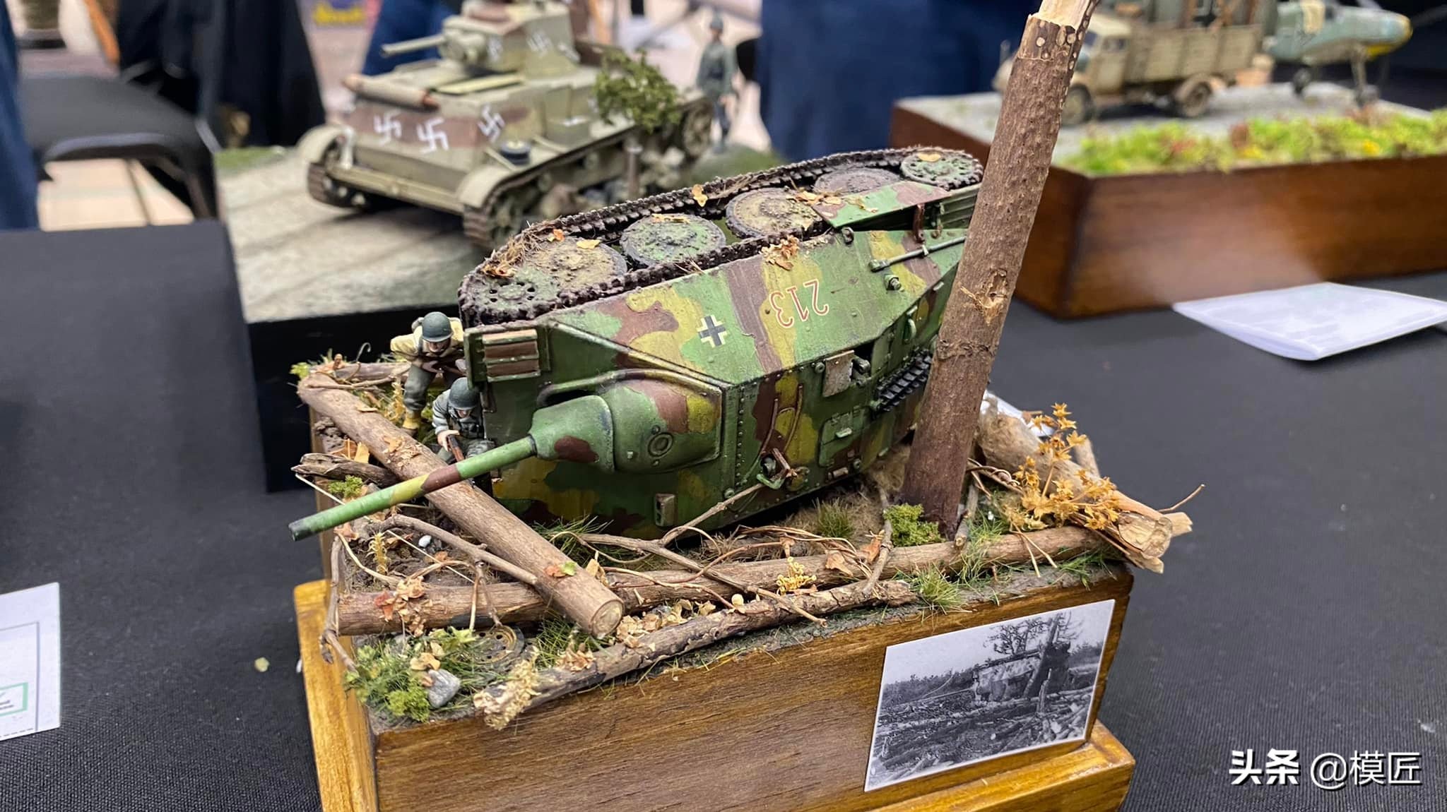 匈牙利莫森金奖,莫森模型展