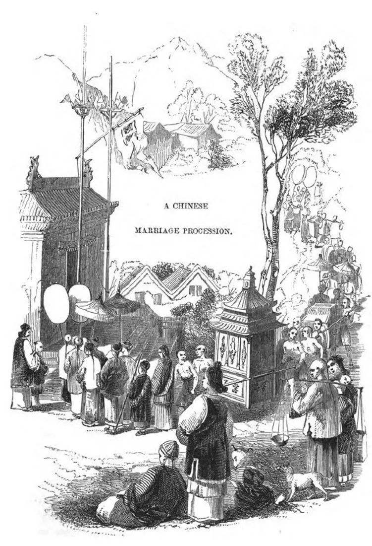 痛心的技术泄密：英国*子骗**偷走安徽两种树苗，让清朝损失百亿纹银