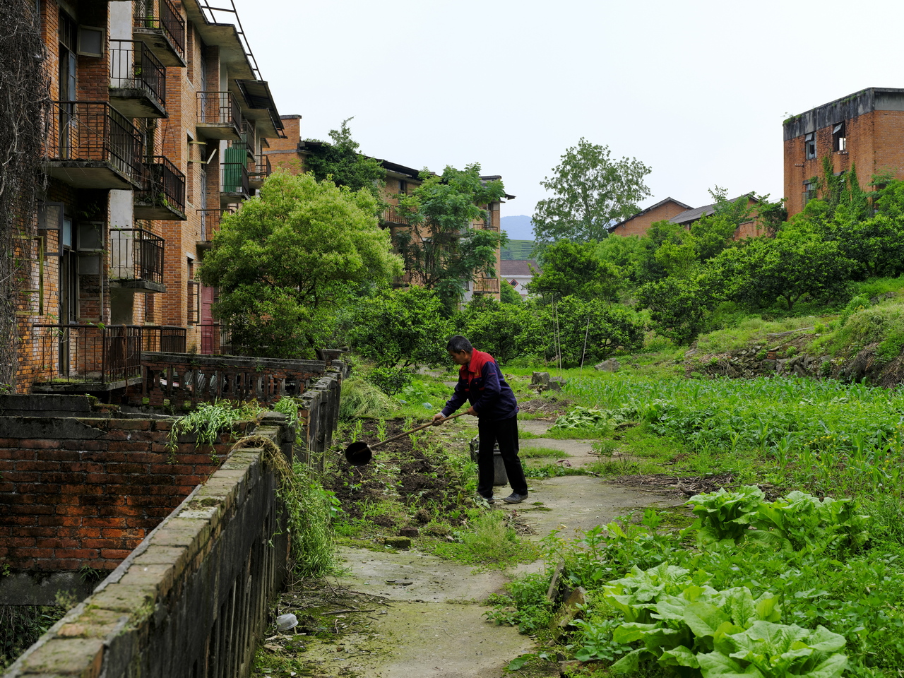 宜都717三线工厂,宜都717厂历史