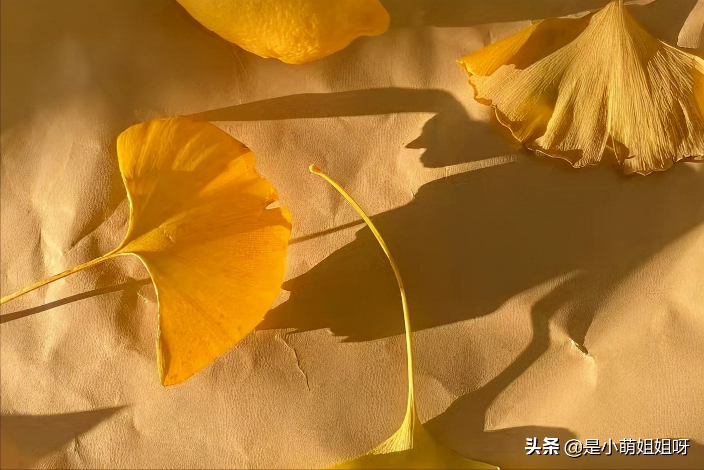 怎样才可以一夜涨粉到6000,怎样一个月涨粉500万