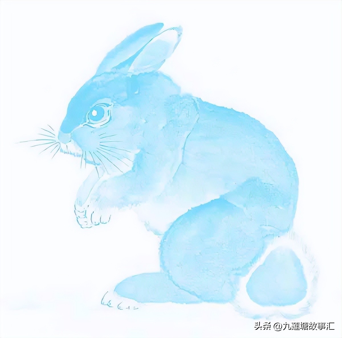 站立的兔子侧面,站立的兔子简笔画