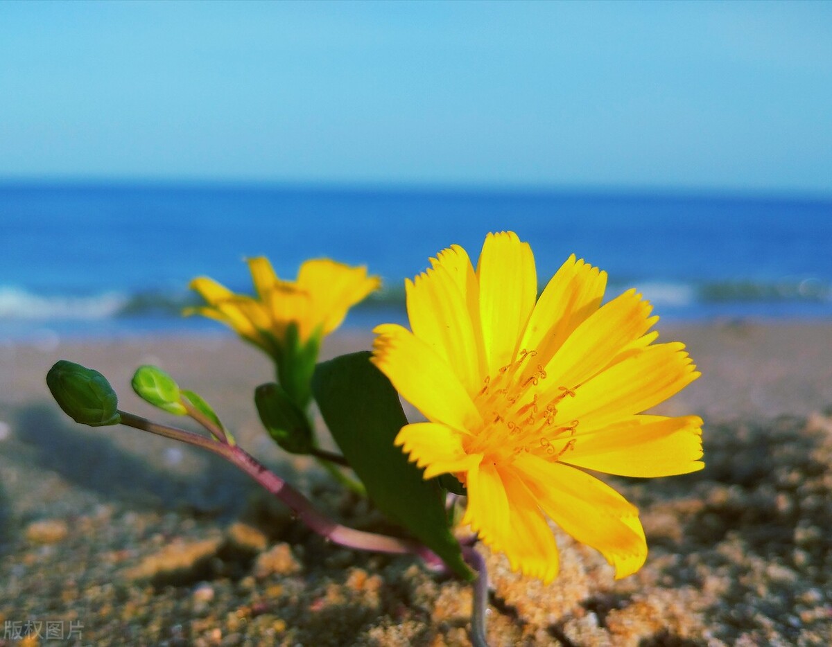 当别人不喜欢你就不要再追了原版,当别人不喜欢你就不要再追了