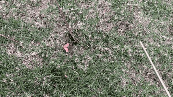 户外露营神器电动,自动充气帐篷露营体验