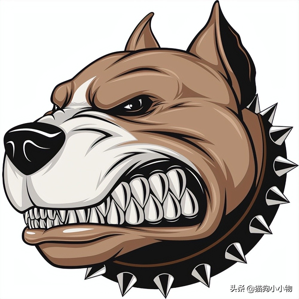 遇恶犬咬人如何救人,路遇恶犬如何救人如何自救