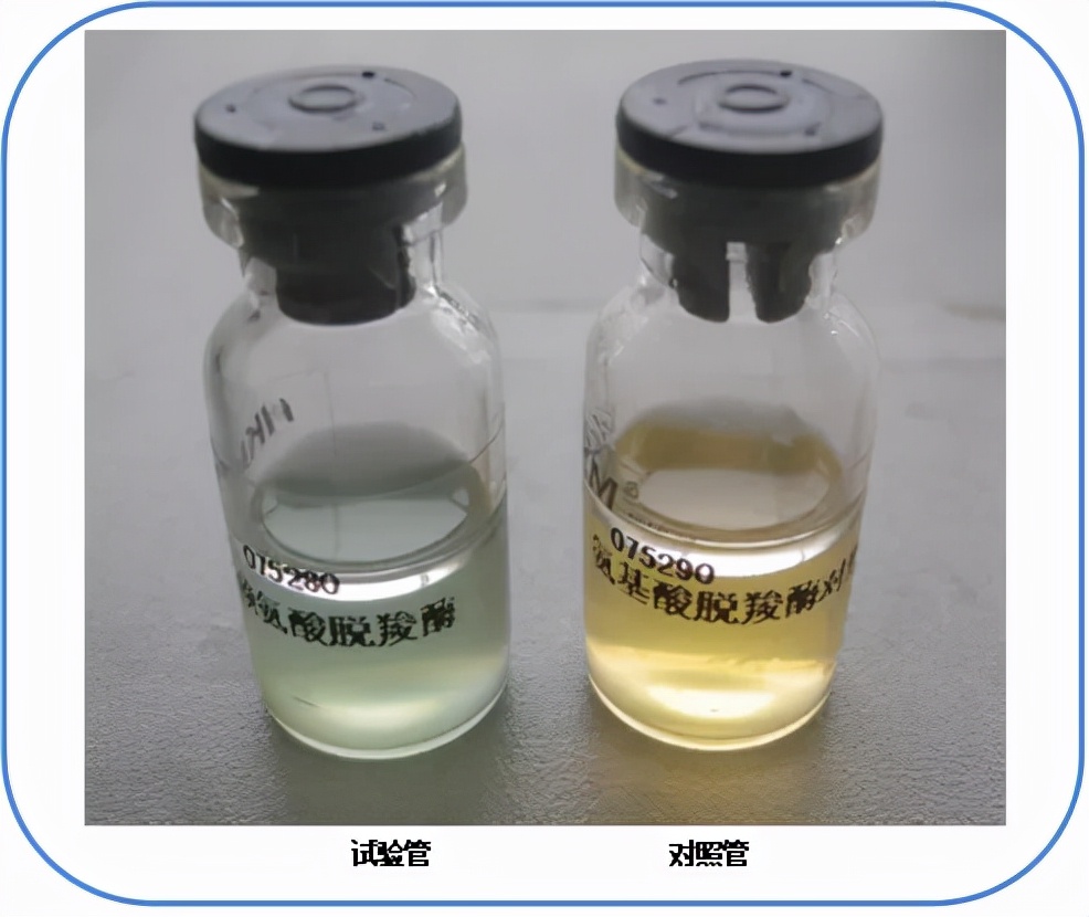 食品微生物沙门菌检验流程,食品中沙门氏菌的检测视频