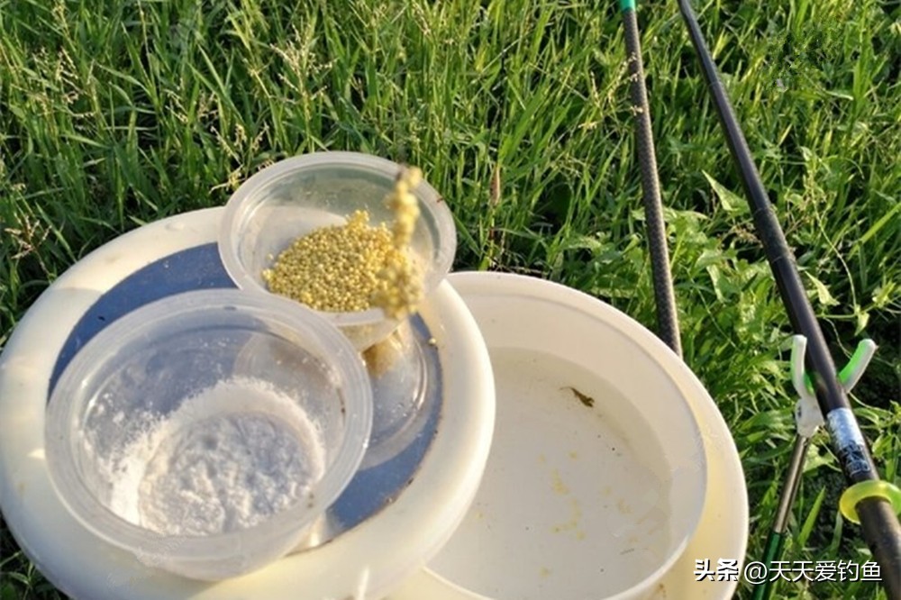 夏天黑坑小鱼多怎么调漂,夏天用啥子料钓大鱼不钓小鱼