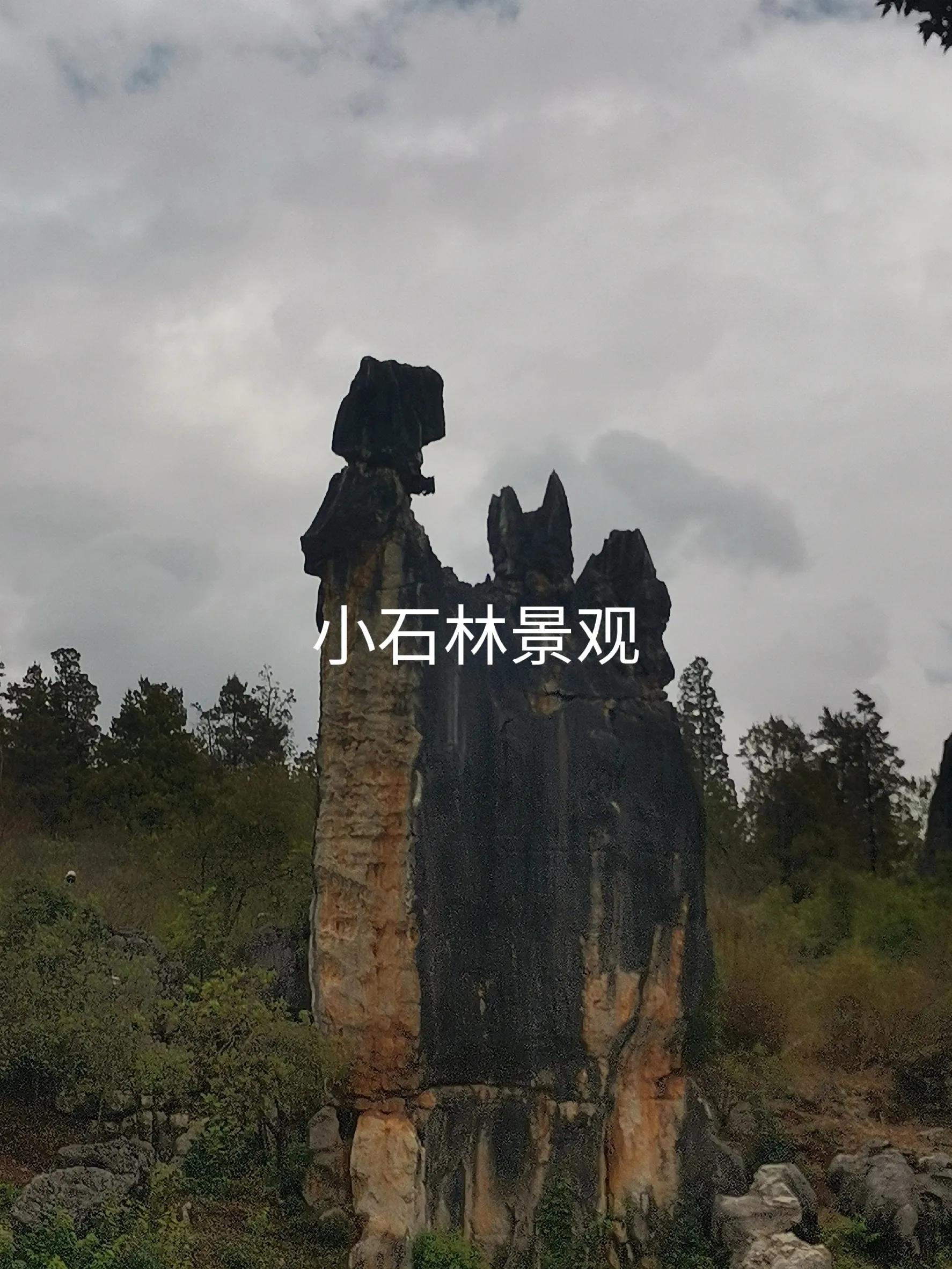 七彩云南之旅,七彩云南之旅旅游卡