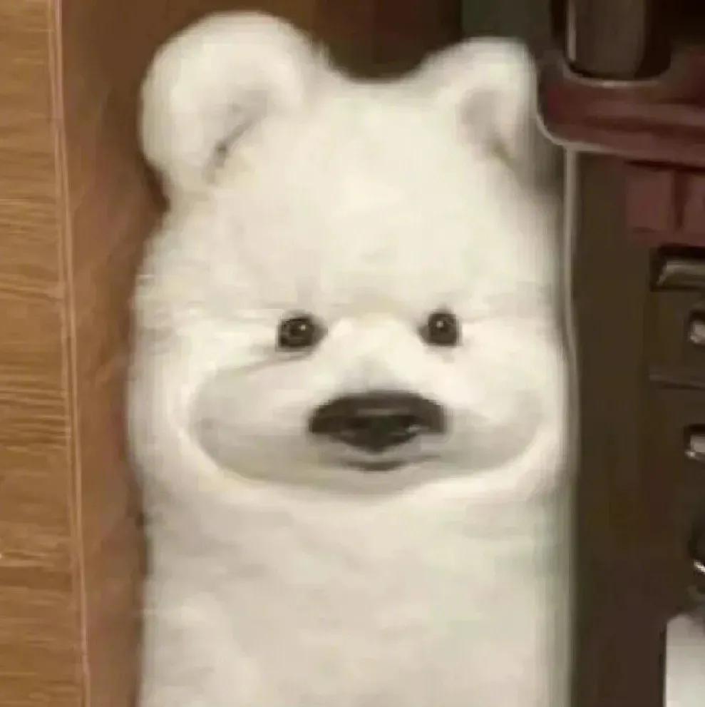 吃瓜群众表情包二次元,吃瓜群众表情包是什么意思