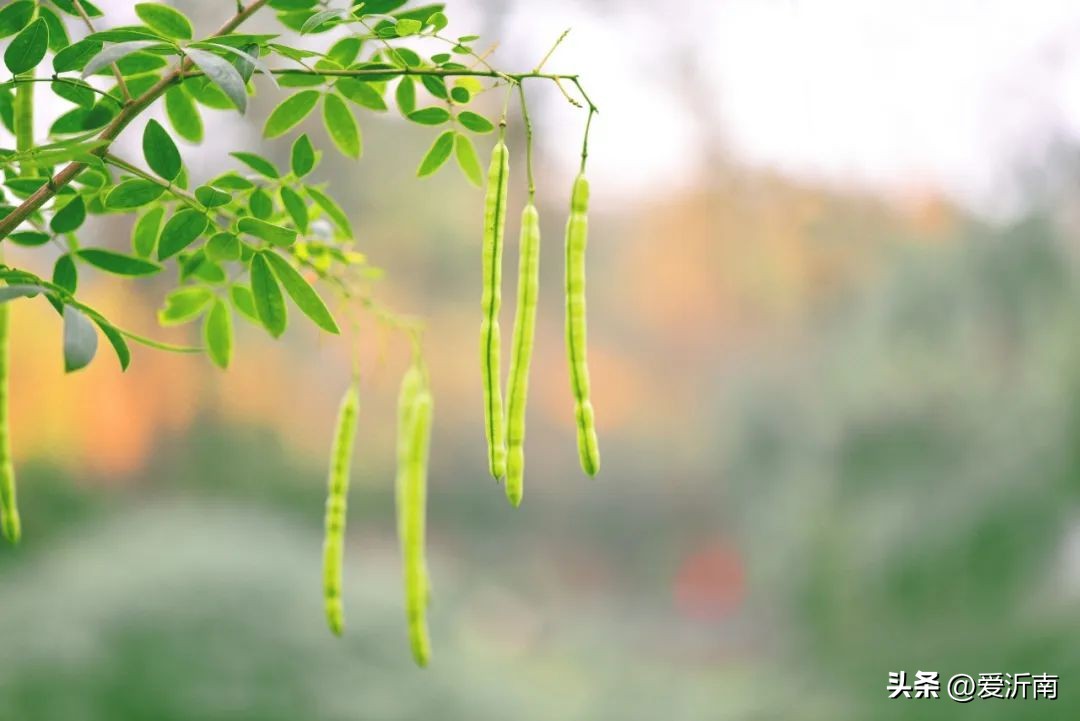 五千年来最触动心灵的10句诗词,中华上下五千年人生哲理的句子