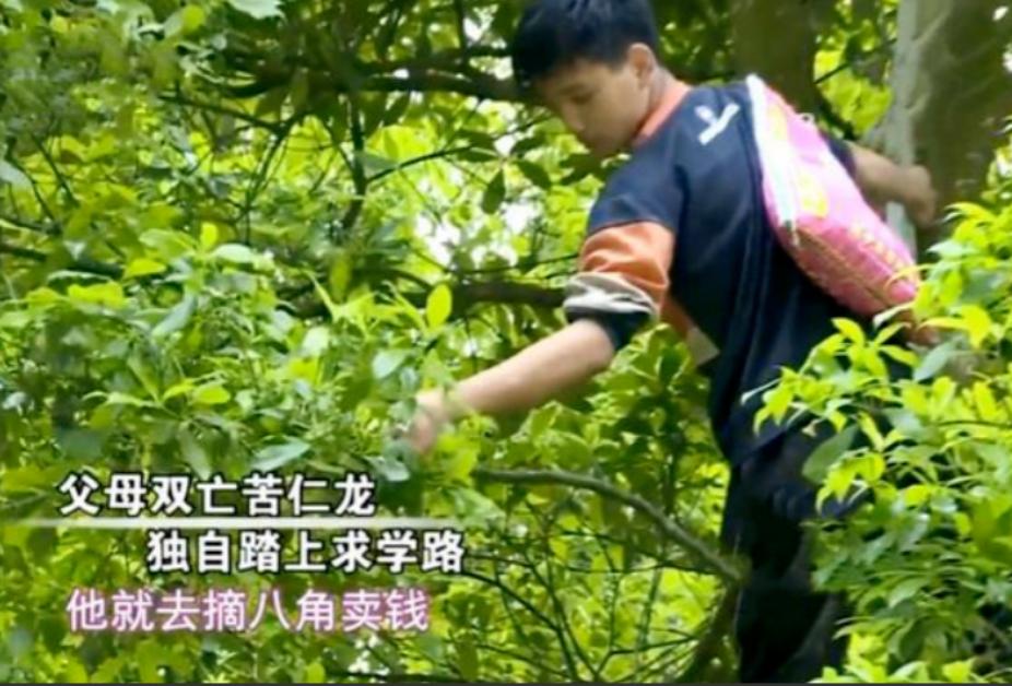 父母双亡孩子捡垃圾考上清华大学,13岁男孩父母双亡考上北大纪录片