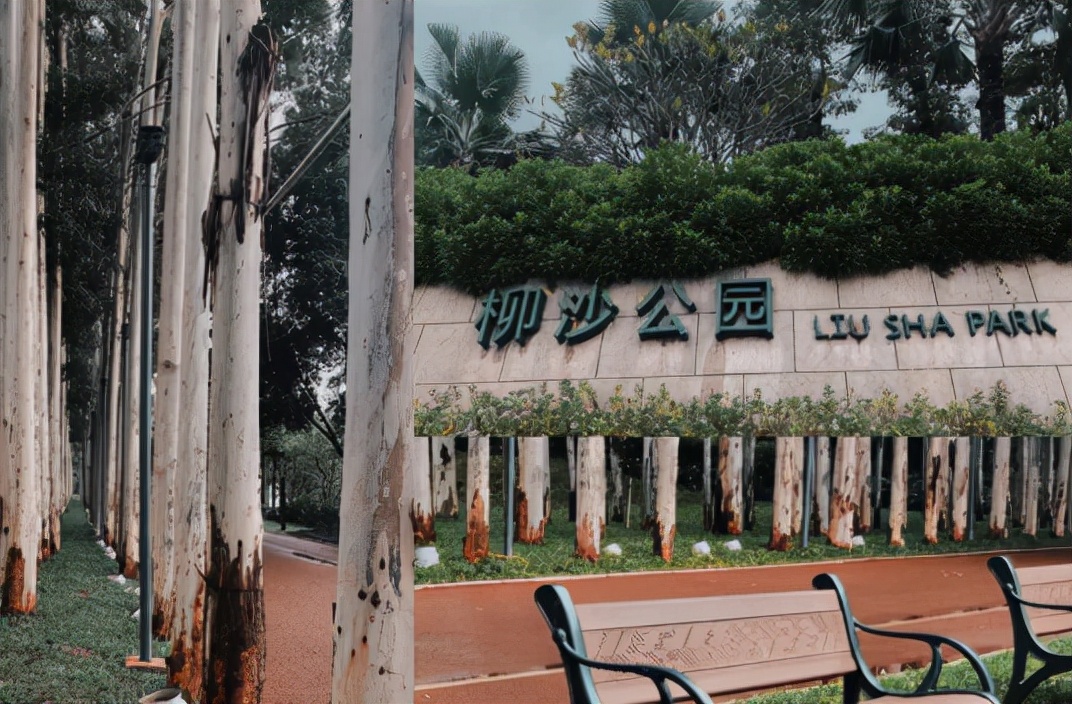 南宁4号线地铁攻略,南宁2号线地铁游玩攻略