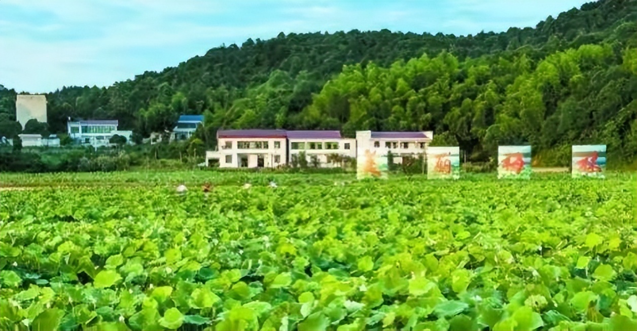 高价回收农村值钱的东西,农村老物件回收正规平台