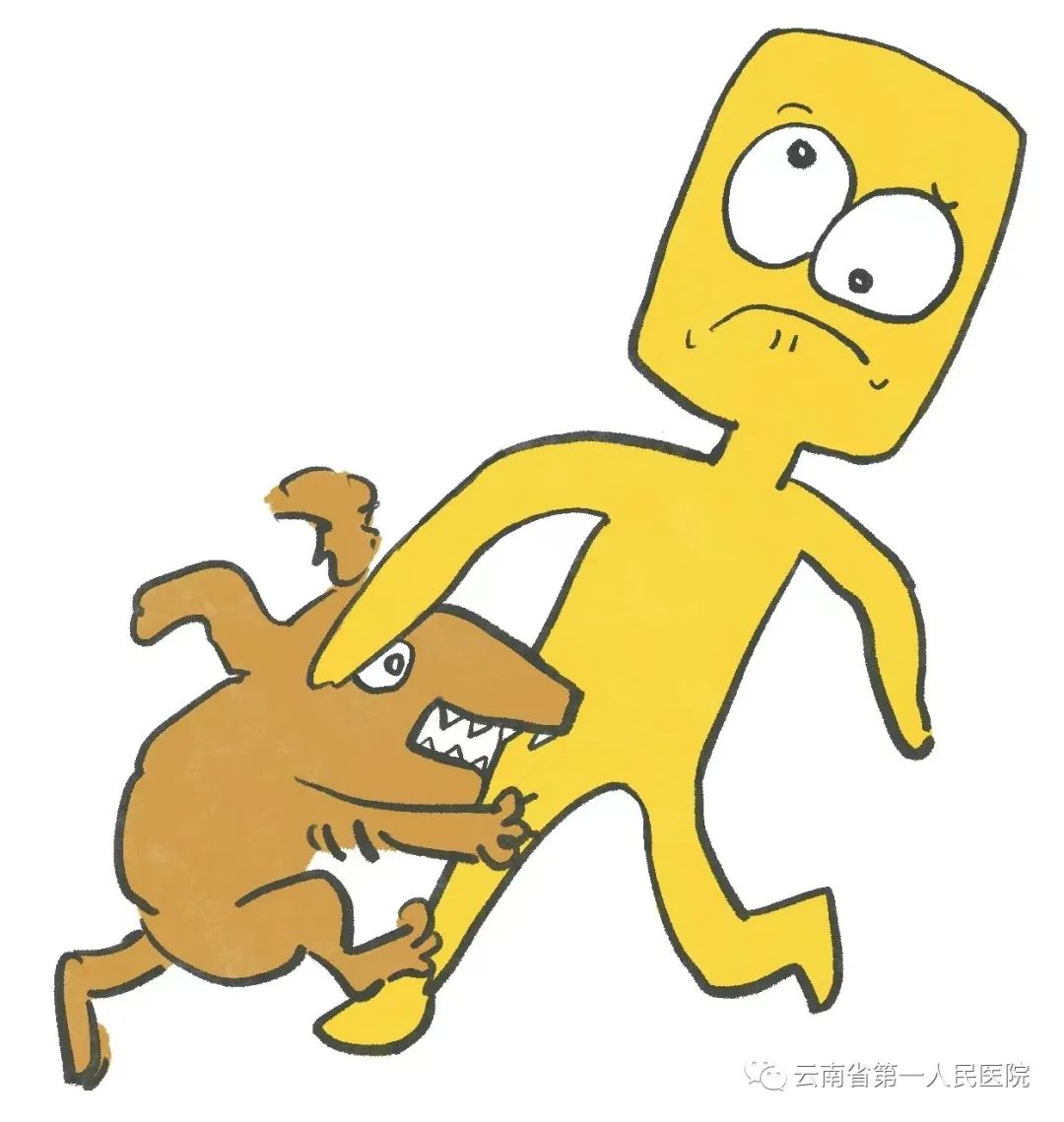 小狗接种狂犬病疫苗被猫抓伤了,被猫抓伤多久打狂犬病疫苗有效