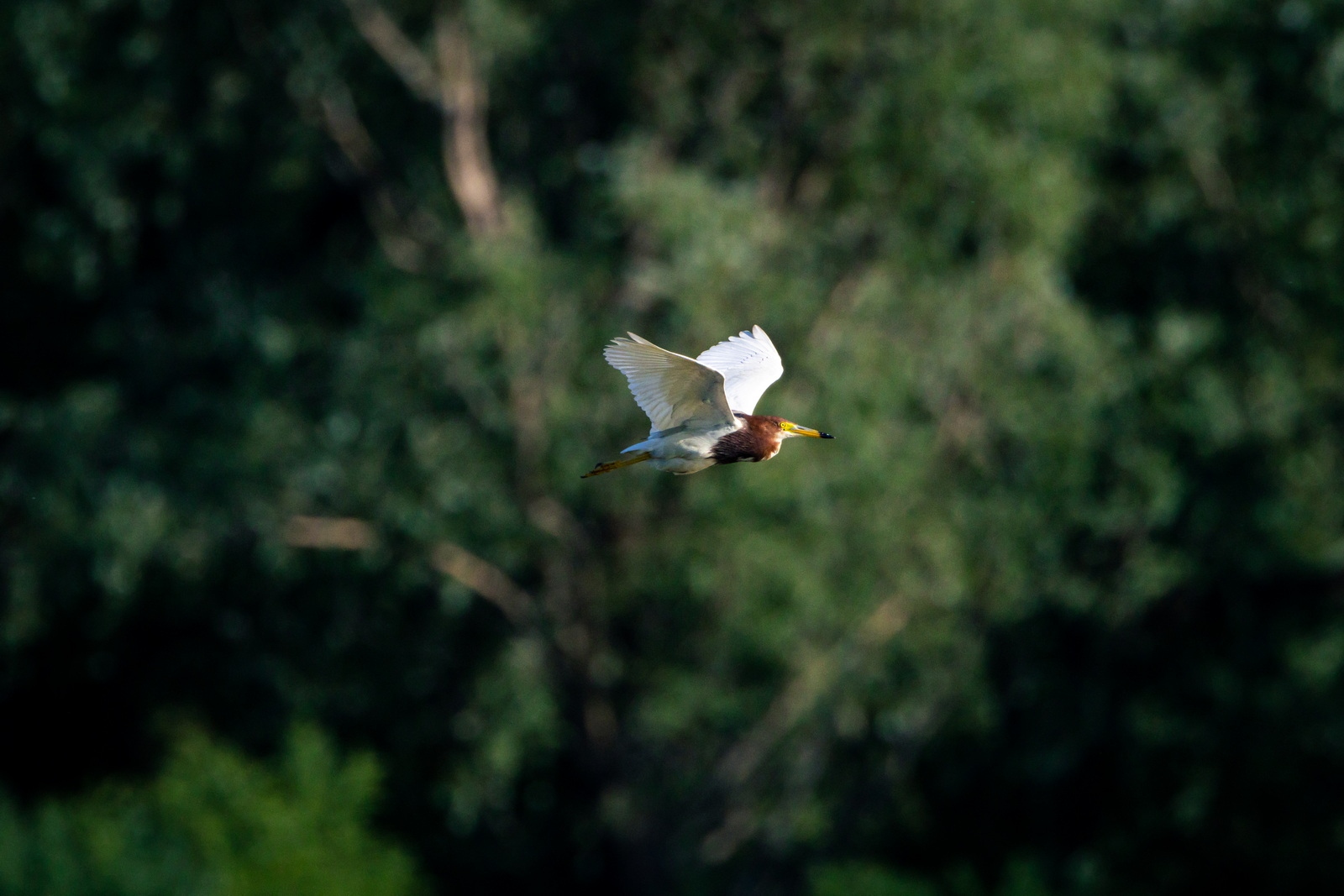 佳能eosr7目前值得买吗,佳能eosr7优缺点