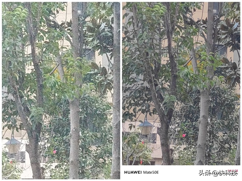 华为mate50e跟mate50哪个先上市,华为mate50和mate50e买哪个好