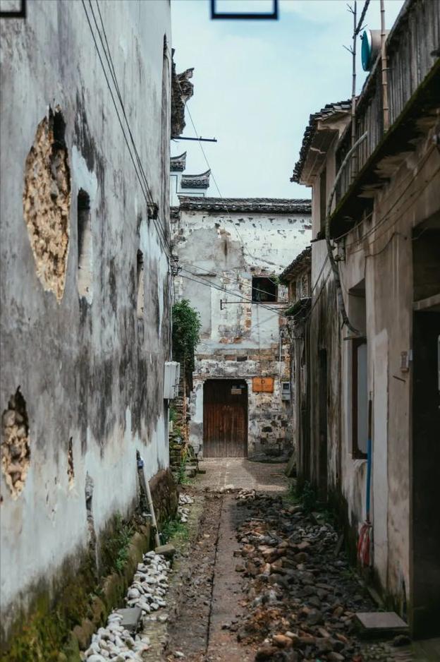 向往的生活浙江桐庐,桐庐值得不值得去