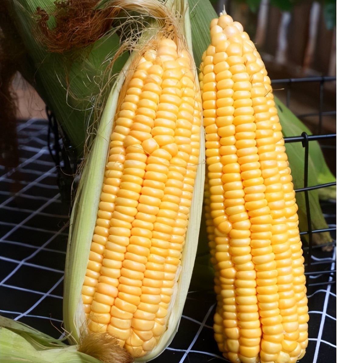 吃发霉玉米一家人中毒身亡,吃了发霉的玉米会得肝癌吗