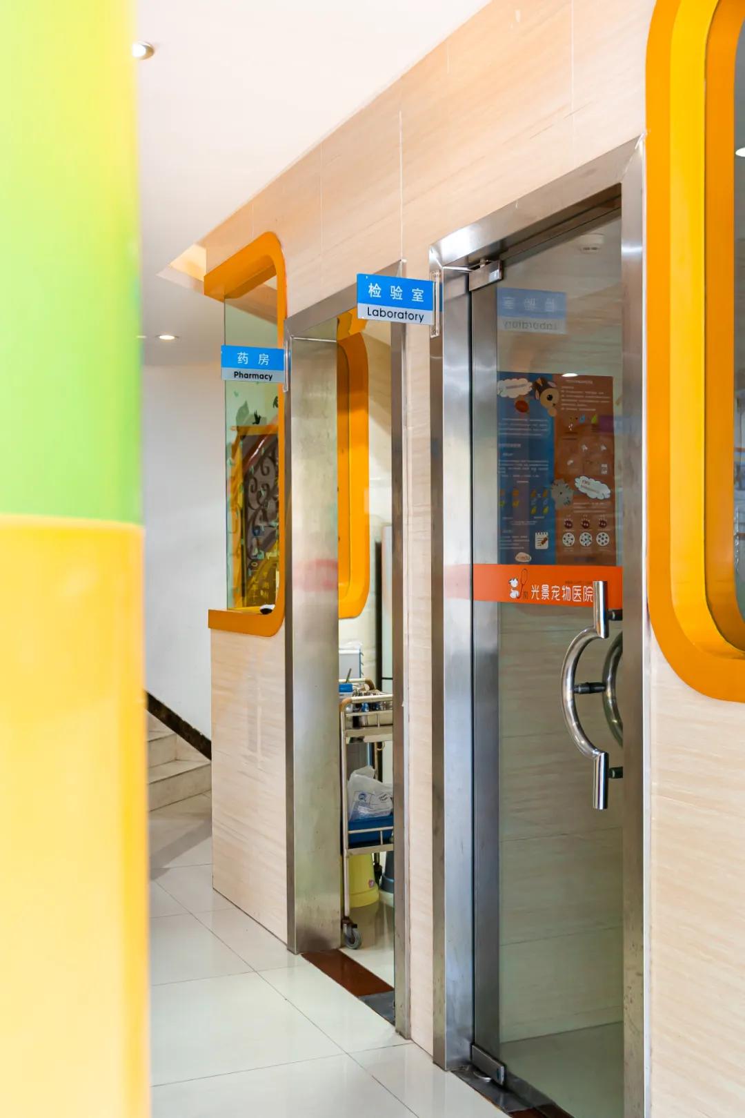 深圳探访宠物店,深圳最好的宠物街