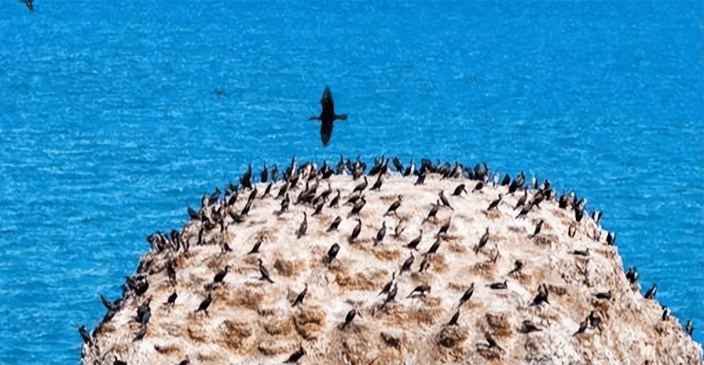 作死的欧洲小国,作死的国家