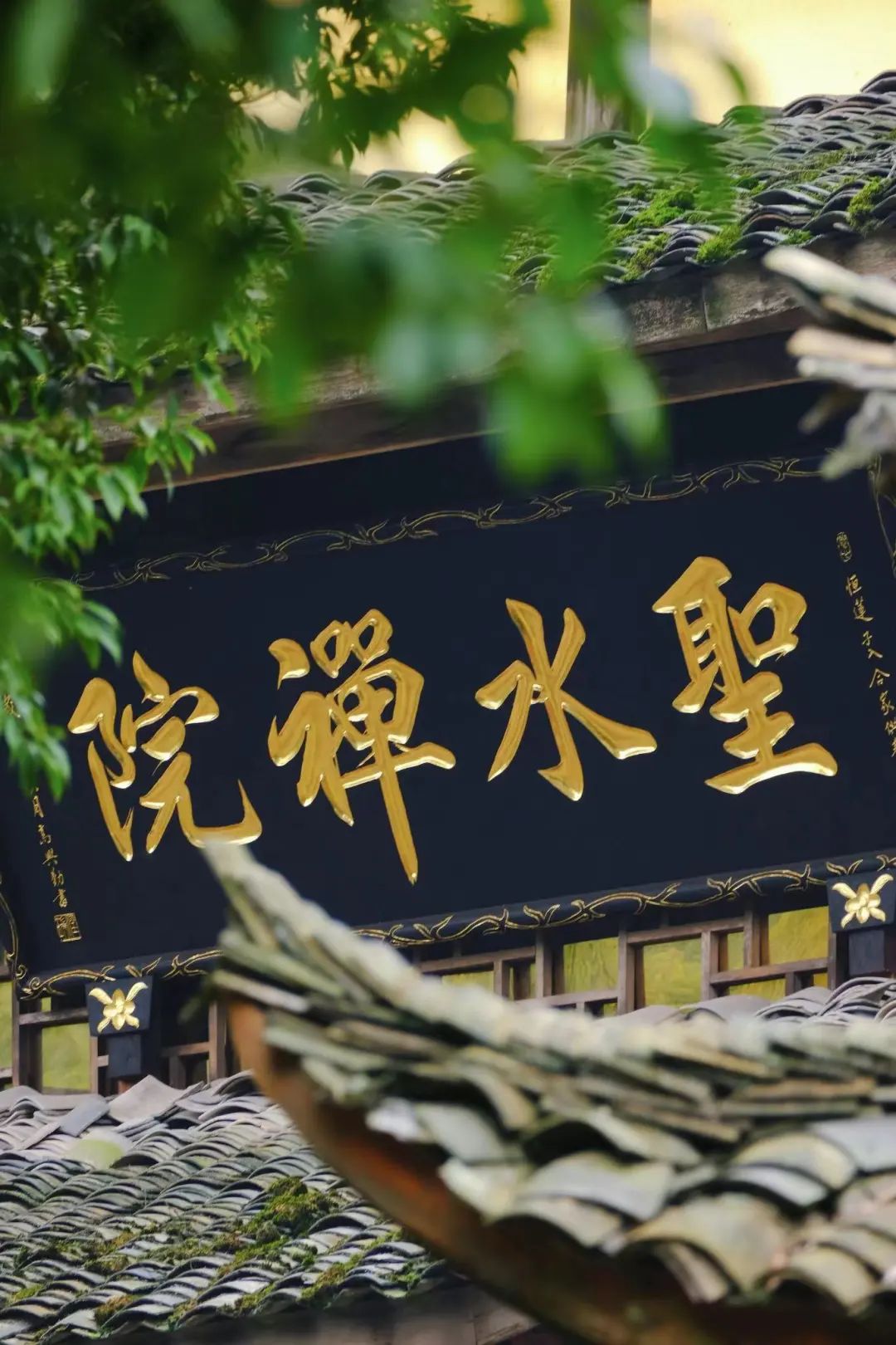 不上峨眉山自驾一日游最佳攻略,峨眉山全程不用步行攻略