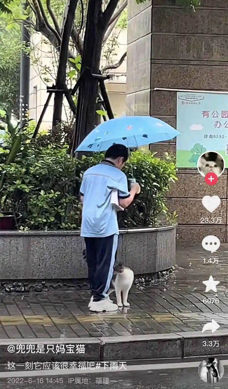 2020年的56个瞬间,我见过一场海啸