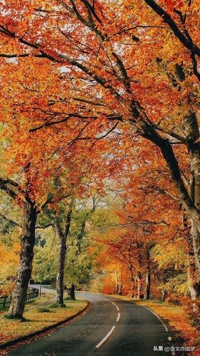 常见复句关系及关联词,关联词的八种关系讲解