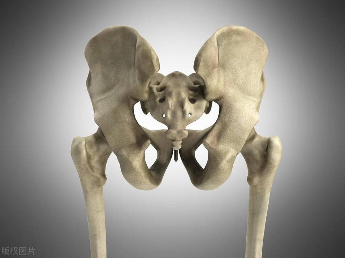 怎么改善骨盆前倾和翘臀,骨盆前倾与翘臀的区别