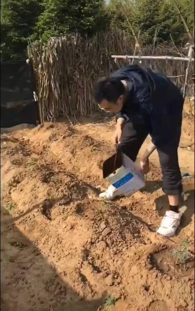 韩德君成长之路,韩德君第二阶段精彩集锦