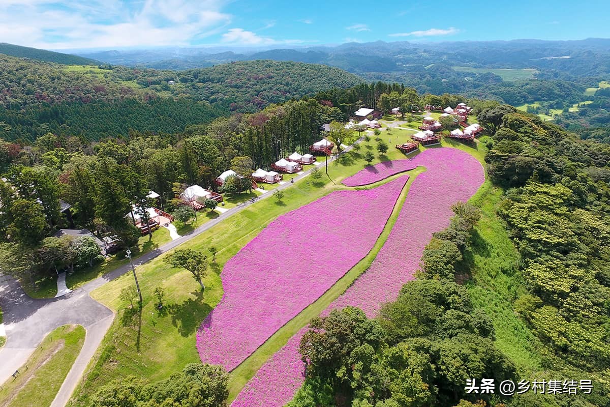 日本亲子农场主题乐园,日本妈妈牧场成功的原因