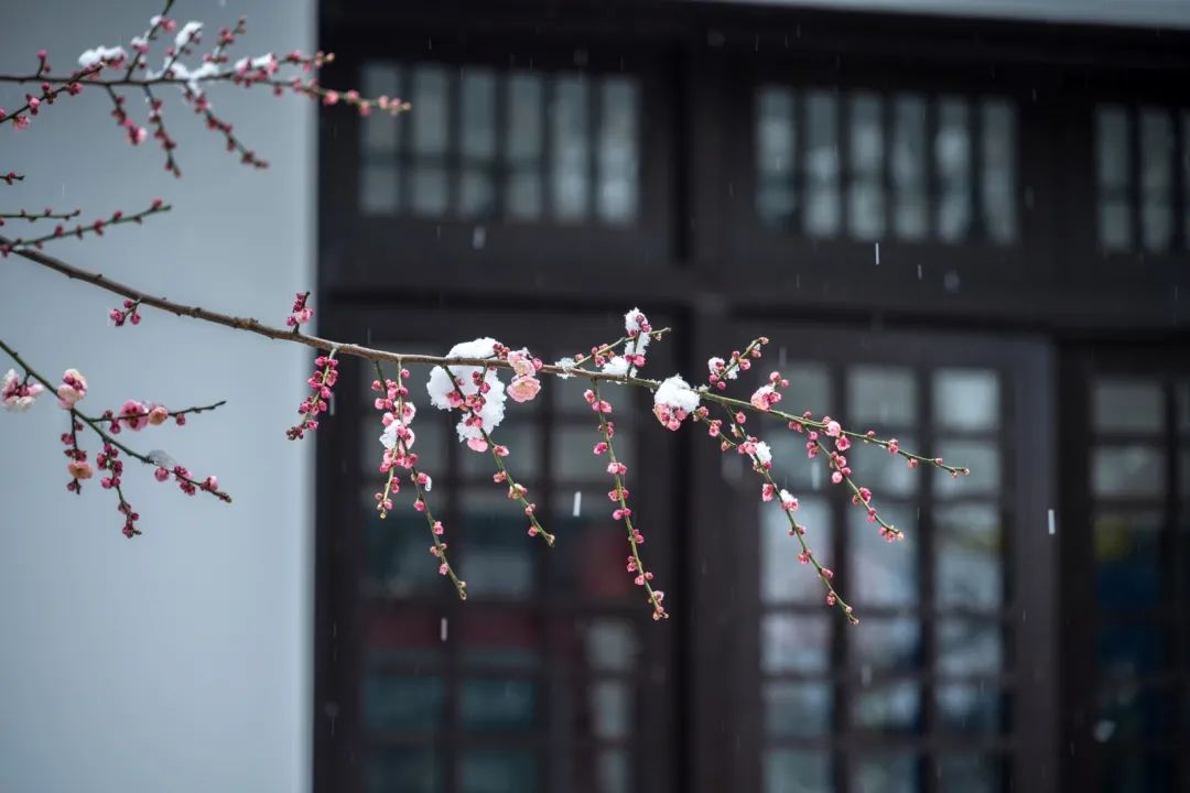 尼康z系列挂机镜头,尼康z24-200和24-120哪个好