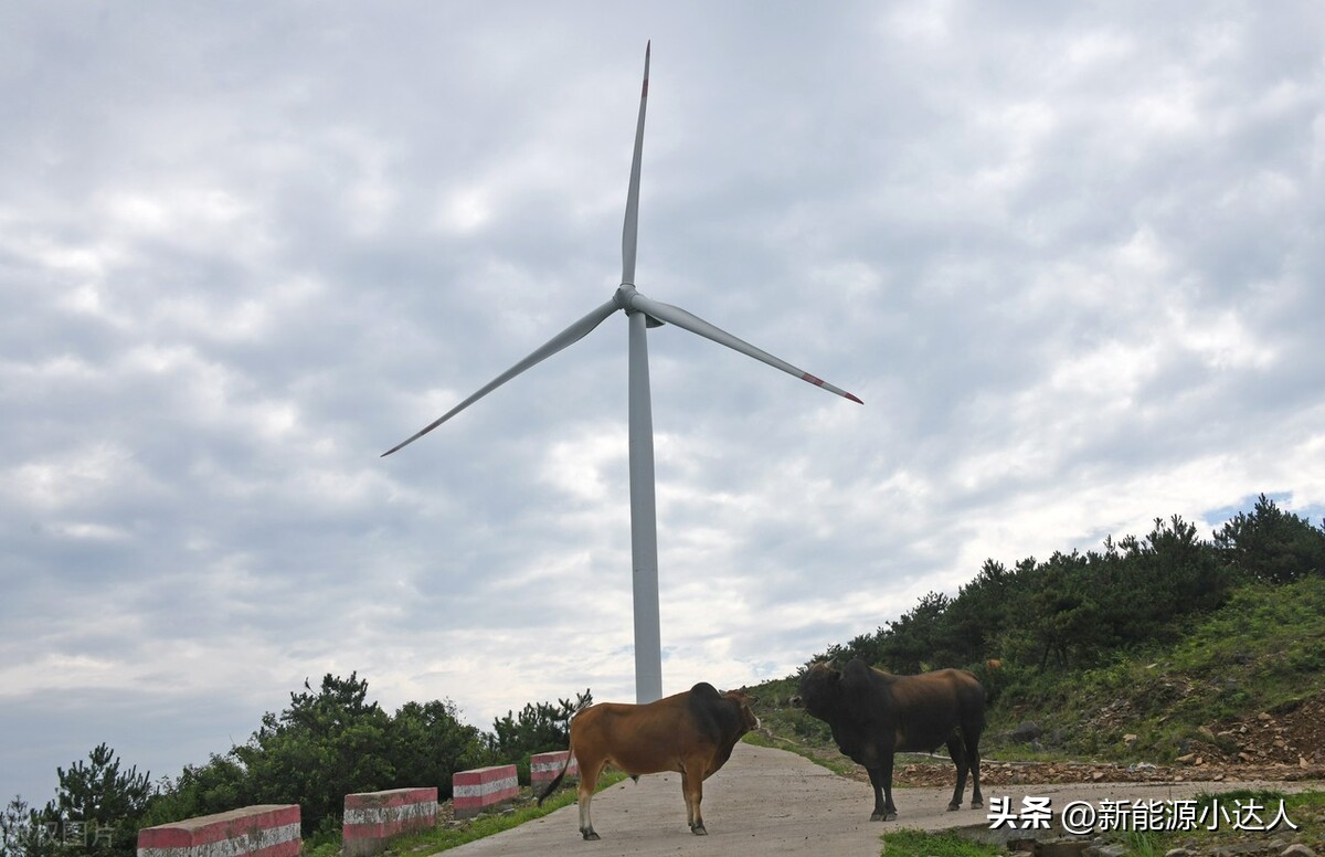 中节能甘肃风力发电有限公司校招,中核甘肃风力发电有限公司招聘
