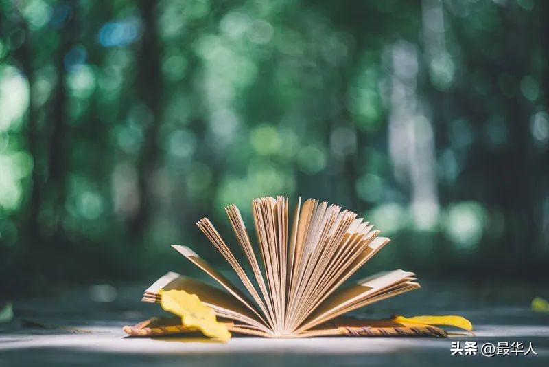 关于卡塔尔举办世界杯的作文,卡塔尔世界杯中国元素作文