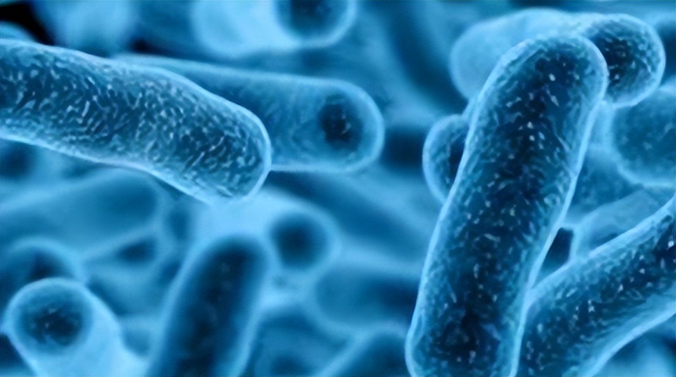 喝普洱熟茶等于喝脏水,普洱熟茶有霉菌吗还能喝吗