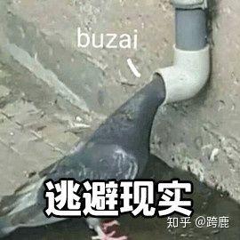 你的感情都是怎么稳定下去的,你的感情怎么这么复杂