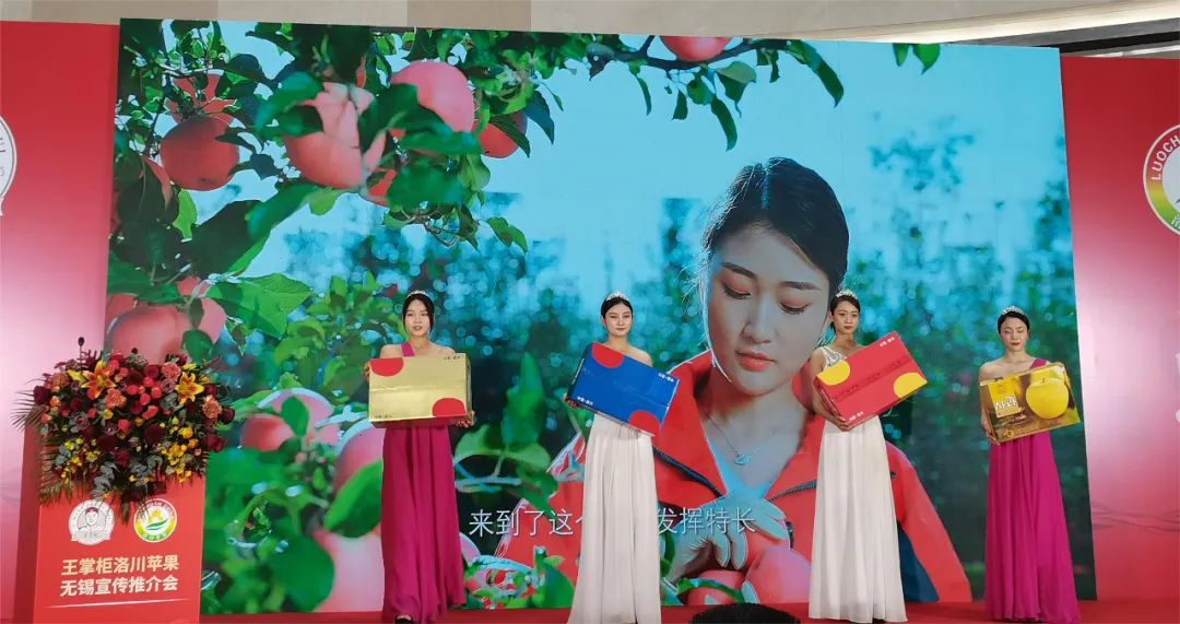 一起来看美丽的淀山湖,一起来看苏州京杭大运河