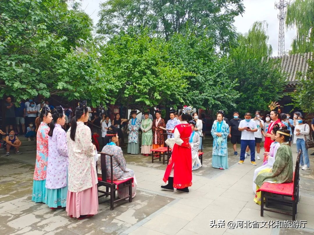 明星来保定视频,明星来河北