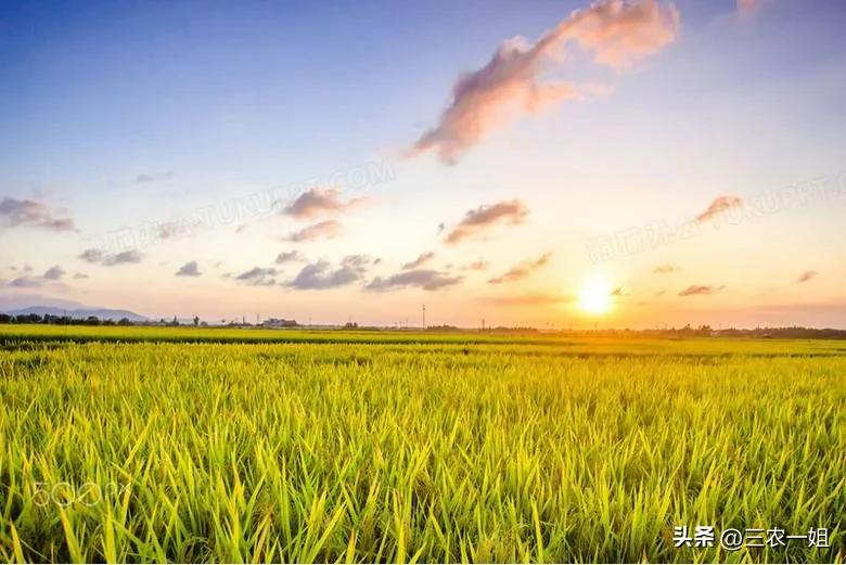 15天天气预报准确暴雨预警,天气预报大雨暴雨是什么标志