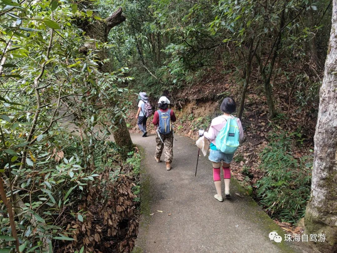 莽山五指峰景区,蟒山国家森林公园旅游攻略