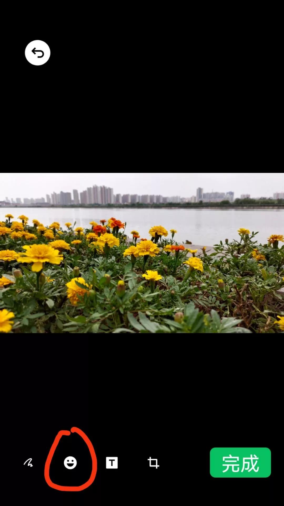 怎样制作问候图片,祝福语手工制作简单又漂亮