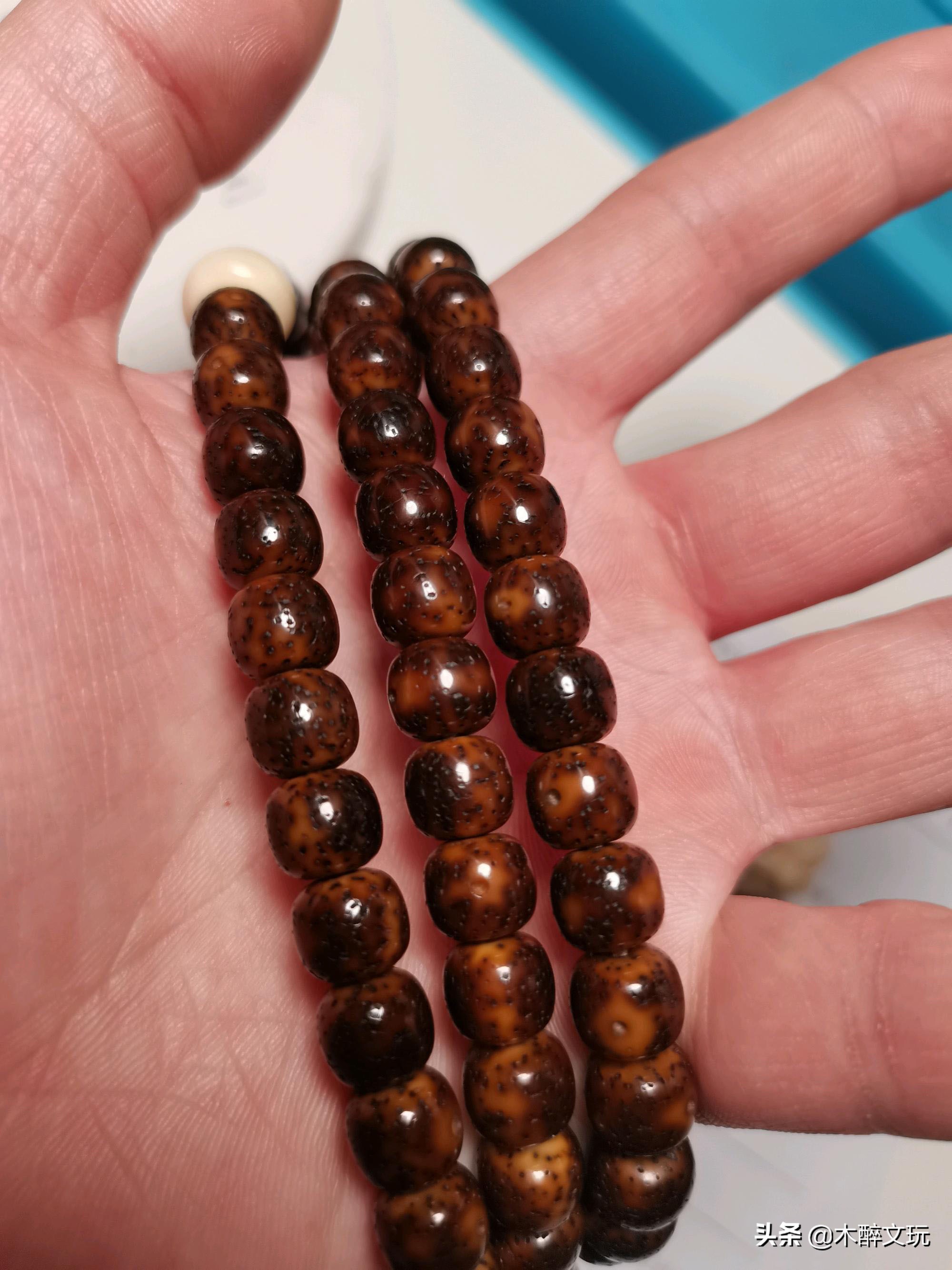 星月菩提的阴皮,星月菩提绿阴皮是怎么形成的