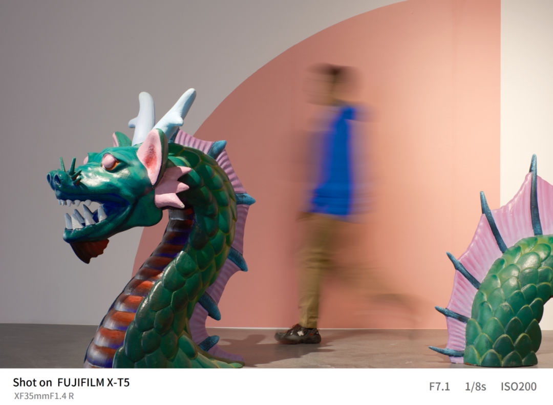 富士x-t5等四款相机迎来固件升级,富士x-t5对比富士gfx100s