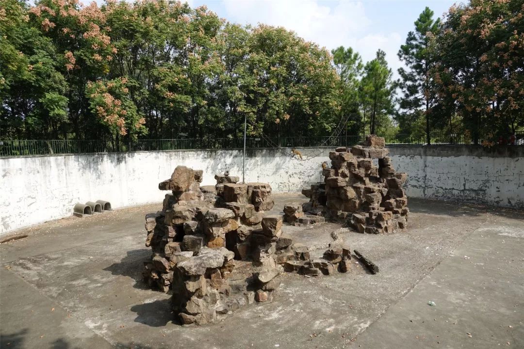 泰州动物园在哪里,泰州动物园在哪