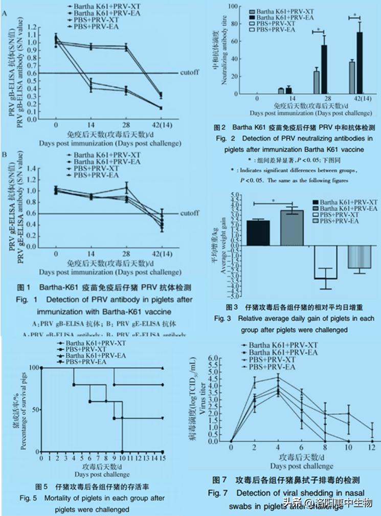 伪狂犬病疫情报道,伪狂犬防控应急预案