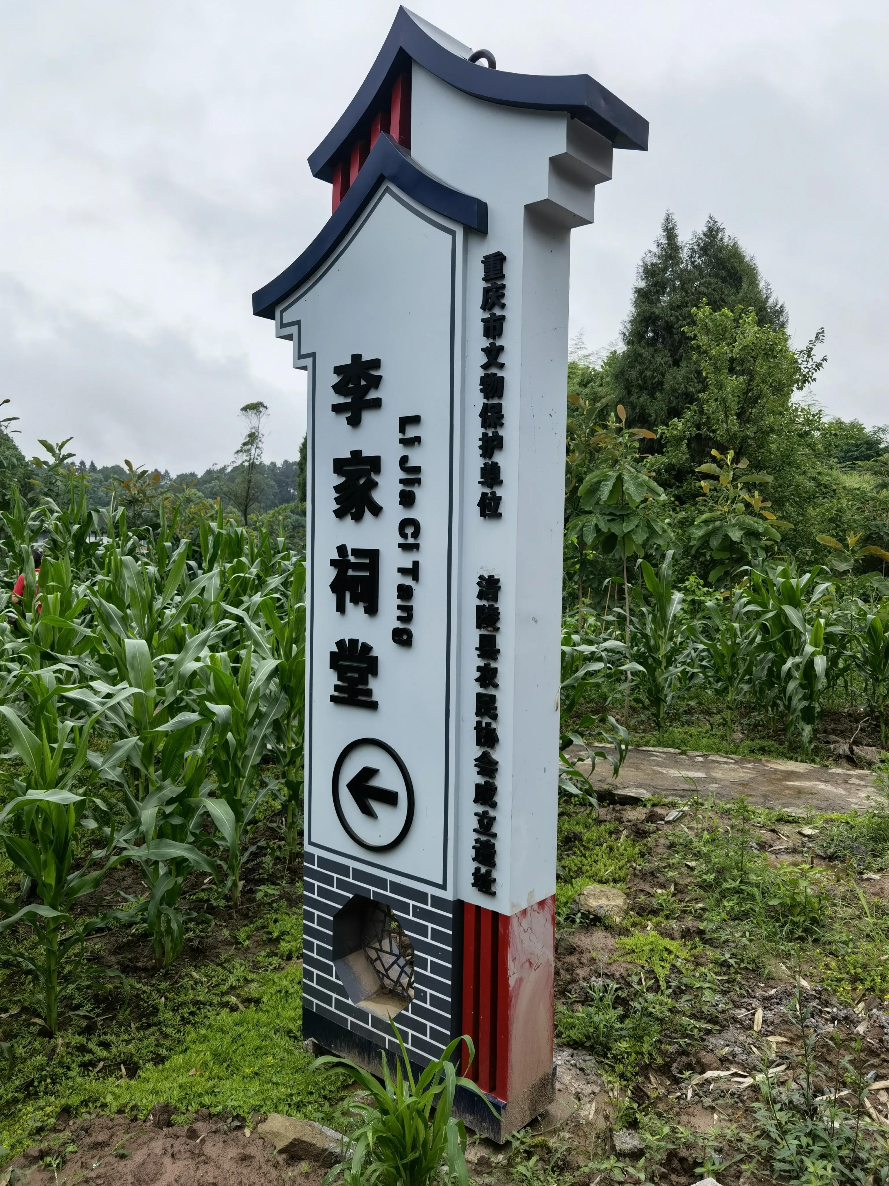 大顺李蔚如,航拍涪陵区大顺镇