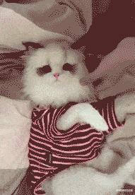 “你以为女生睡觉都是靠着男票？为你解锁更多姿势！”