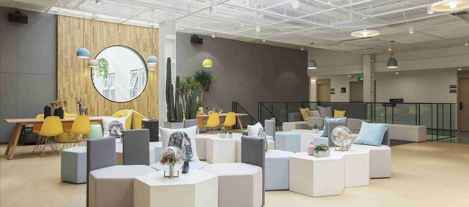 施王物联科技有限公司直播,施王物联科技有限公司