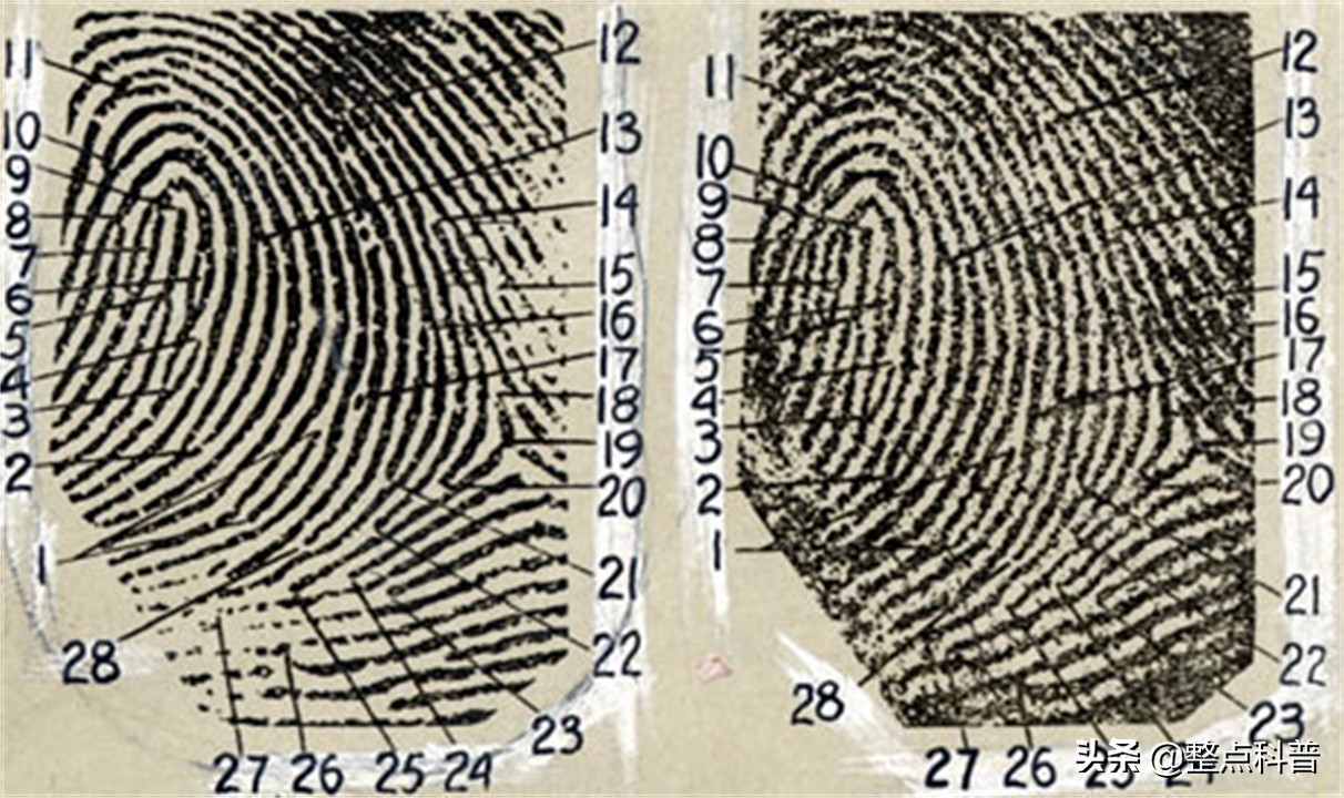 斗和簸箕的基因秘密,中科院发现斗与簸箕的奥秘