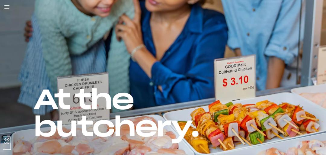 马斯克2017创业,马斯克合作中国公司