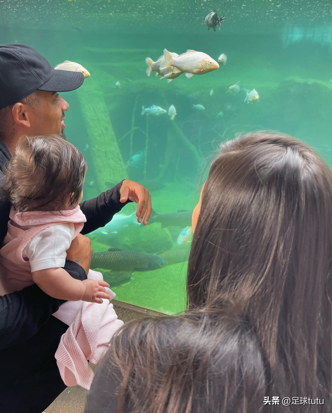 小学生才做选择下一句,小孩才做选择成年人全都要