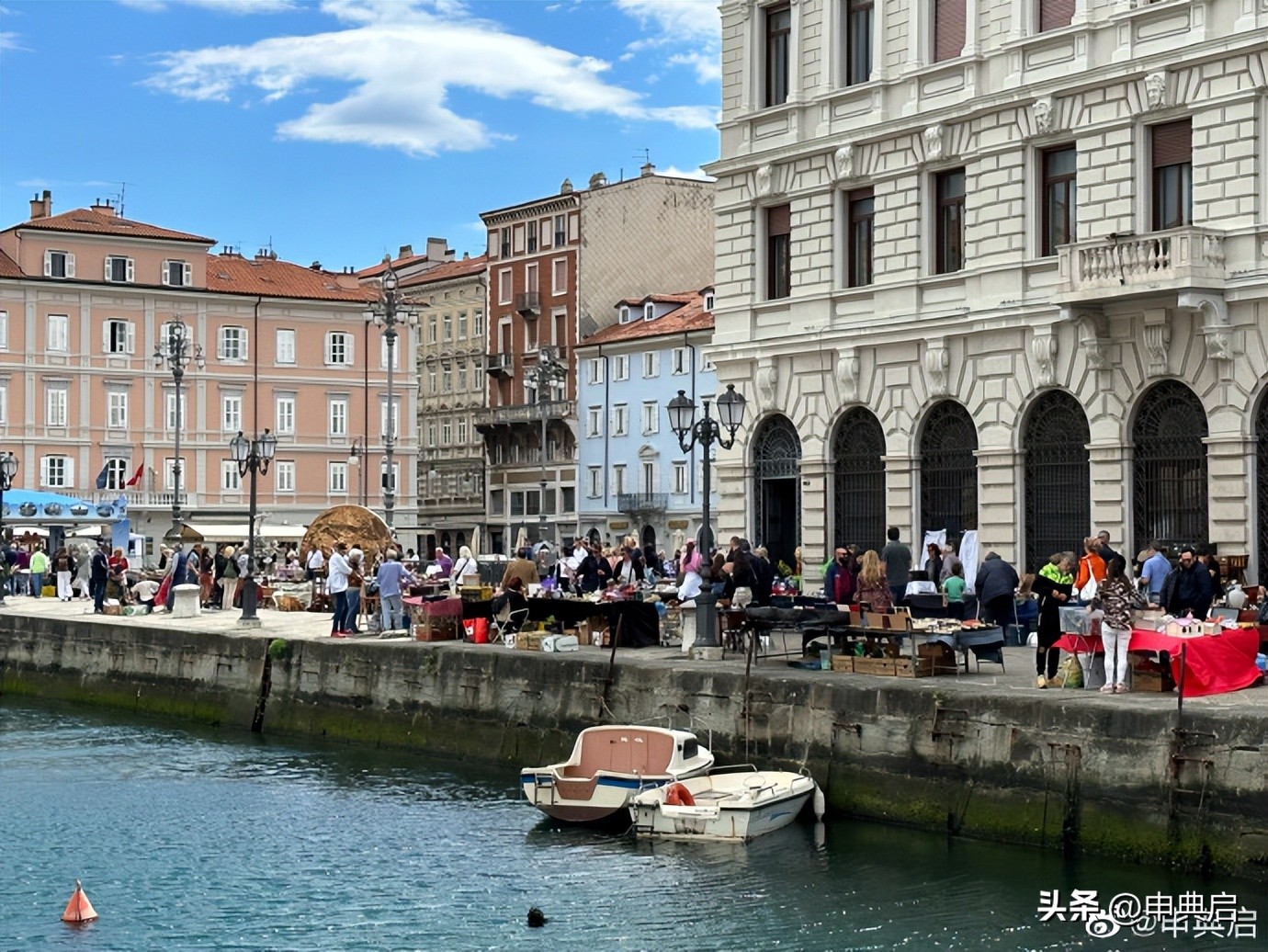 人类吃肉给动物带来的伤害,意大利保护野生动物
